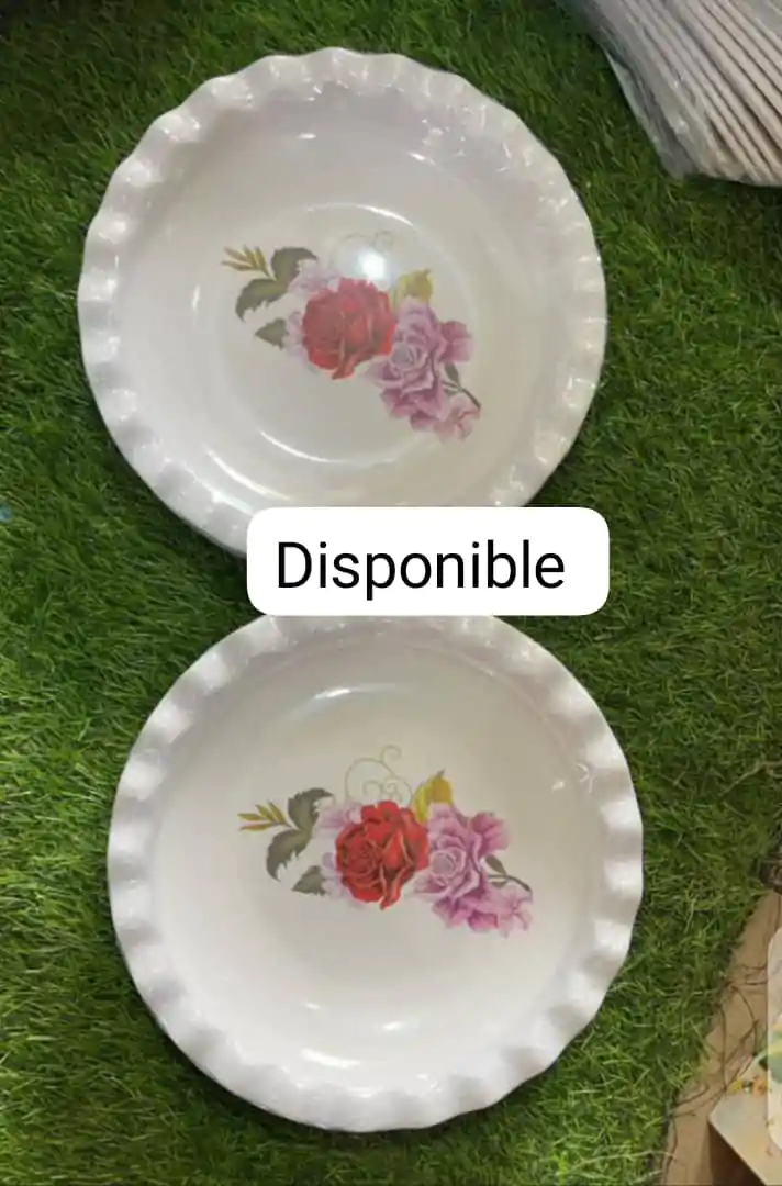 Plat cassable (Douzaine) - Couleurs Disponibles : Blanche, Grise  - Pour Femme, Homme, Enfant-Ref : 18599