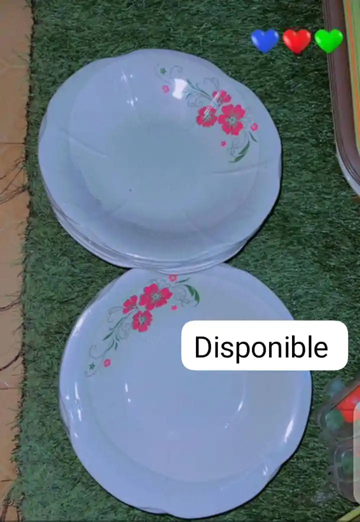 Plat cassable (Douzaine) - Couleurs Disponibles : Bleue  - Pour Femme, Homme, Enfant-Ref : 18603